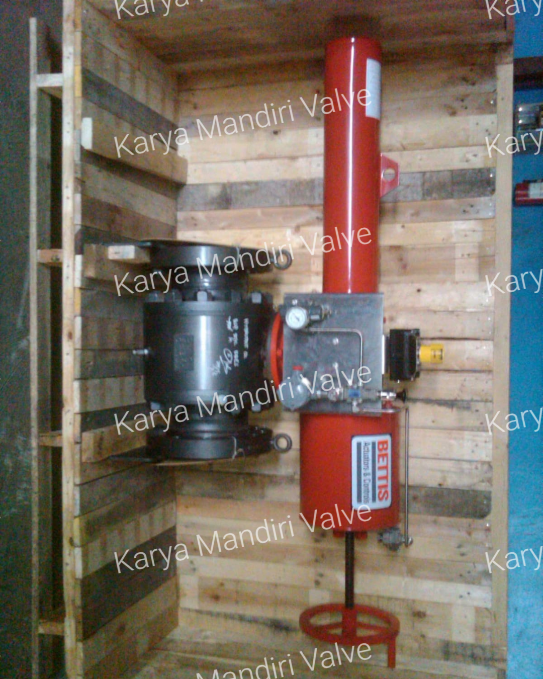 Shutdown Valve
